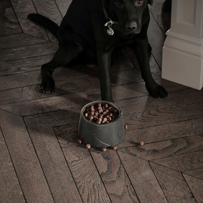 PLATO PARA COMIDA MASCOTA - ELEMENTO 